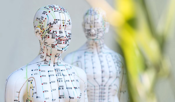 Meridian-System - Akupunktur in Usingen